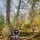 avater